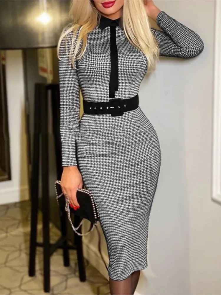 Printed A-line Suit Collar Dress