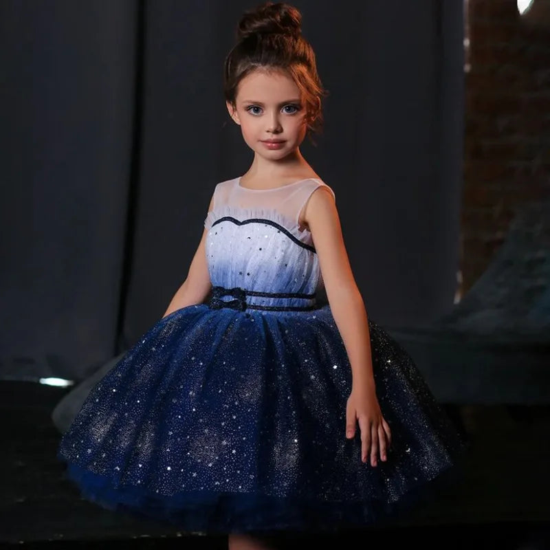 Princess Dress Tulle Toddler