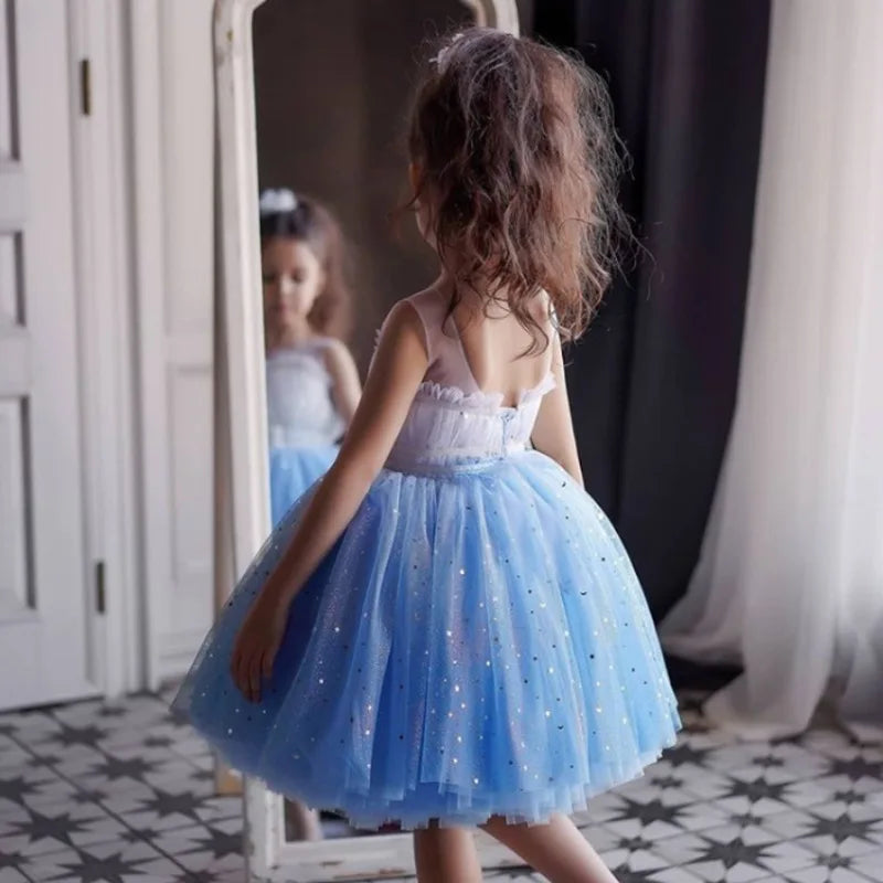 Princess Dress Tulle Toddler