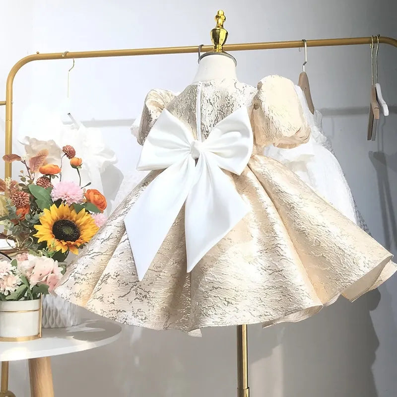 Baby Girl Princess Dress Puff Sleeve