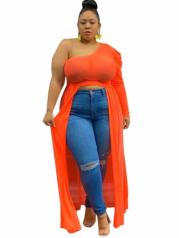 Plus Size Mesh One Shoulder Top