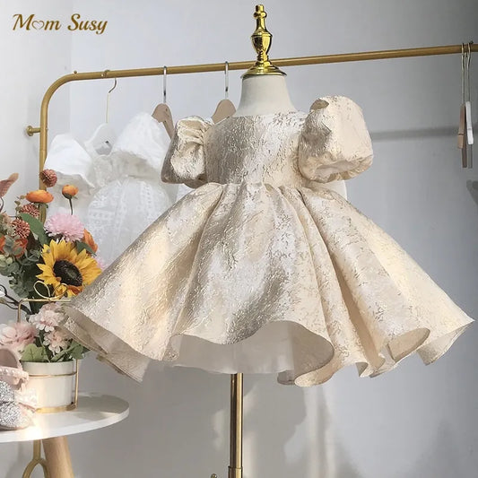 Baby Girl Princess Dress Puff Sleeve