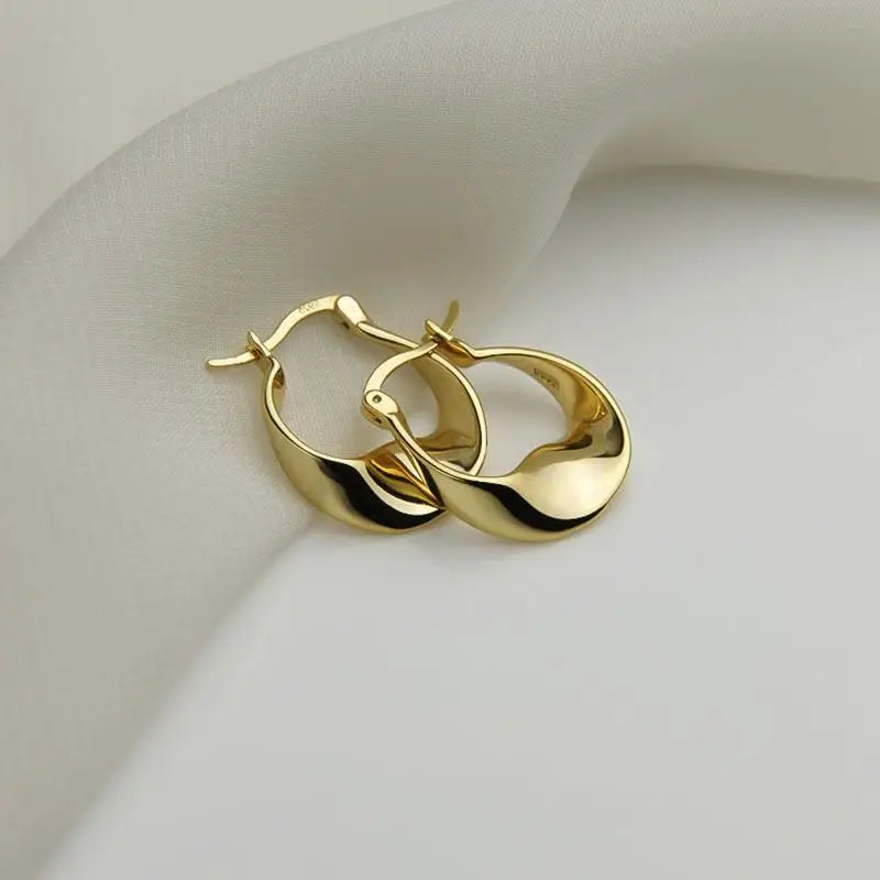 Irregular Shape Earrings