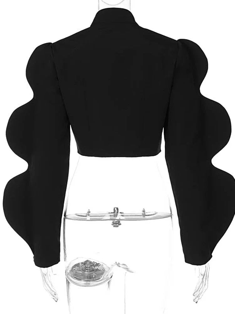 Long Puff Sleeves Sweatshirt