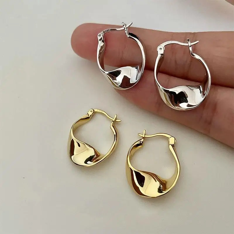 Irregular Shape Earrings