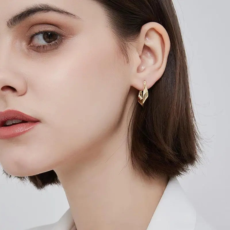 Irregular Shape Earrings